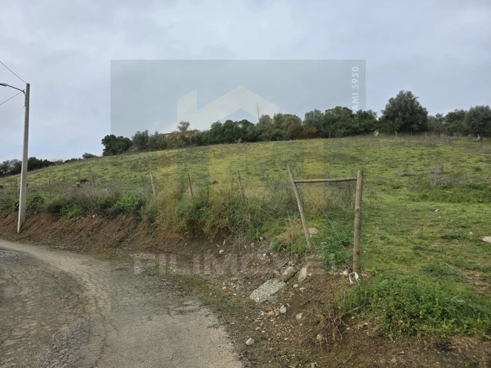 Terreno para Venda em Achete, Azoia de Baixo e Póvoa de Santarém Foto 5