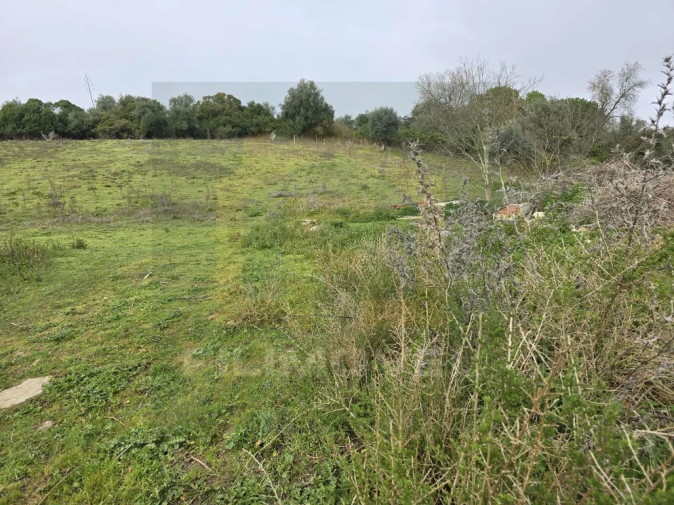 Terreno para Venda em Achete, Azoia de Baixo e Póvoa de Santarém Foto 6