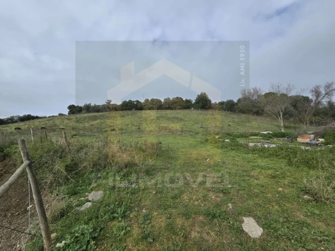 Terreno para Venda em Achete, Azoia de Baixo e Póvoa de Santarém Foto 4