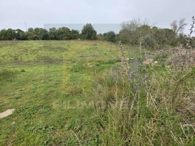 Terreno para Venda em Achete, Azoia de Baixo e Póvoa de Santarém Foto 6