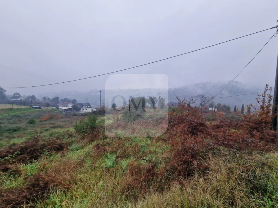 Terreno para Venda em Lufrei Foto 4