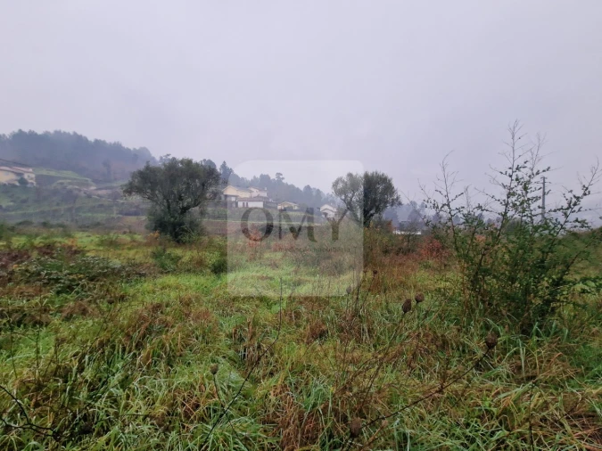Terreno para Venda em Lufrei Foto 6