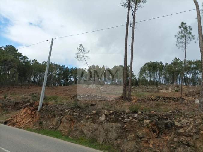 Terreno para Arrendamento em Constantim e Vale de Nogueiras Foto 5