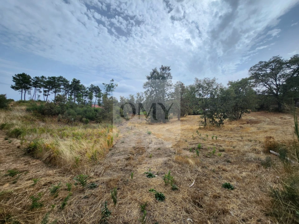Terreno para Venda em São Tomé do Castelo e Justes Foto 1