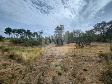 Terreno para Venda em São Tomé do Castelo e Justes