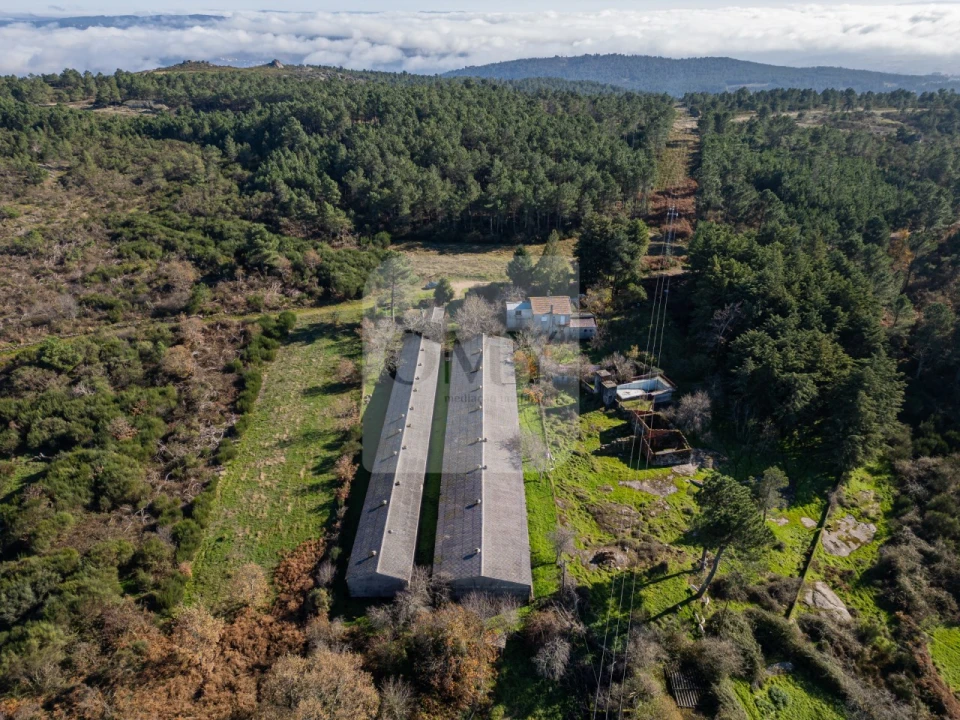 Terreno para Venda em São Lourenço de Ribapinhão Foto 4