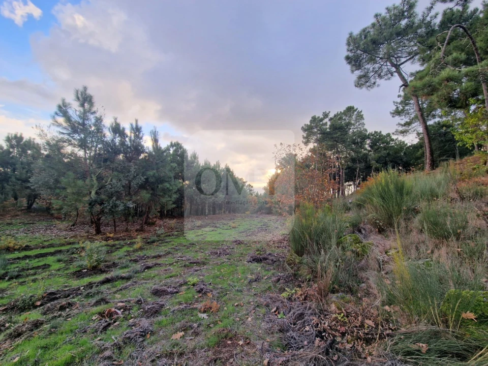 Terreno para Venda em Adoufe e Vilarinho de Samardã Foto 7