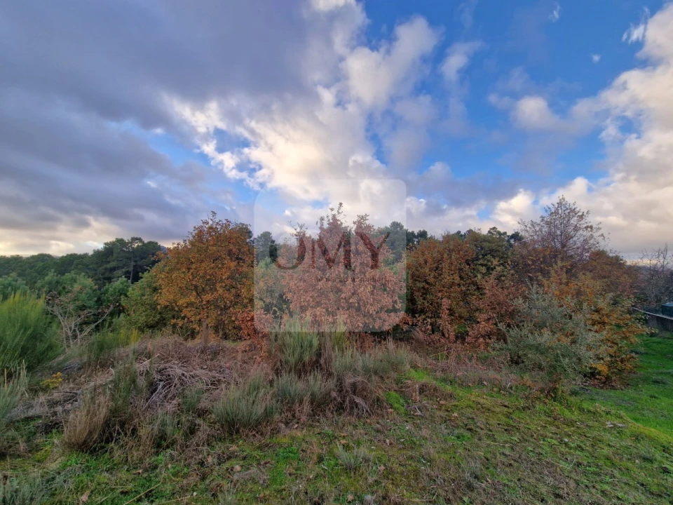 Terreno para Venda em Adoufe e Vilarinho de Samardã Foto 11