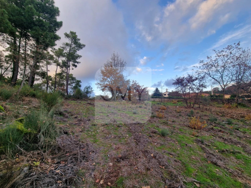 Terreno para Venda em Adoufe e Vilarinho de Samardã Foto 14