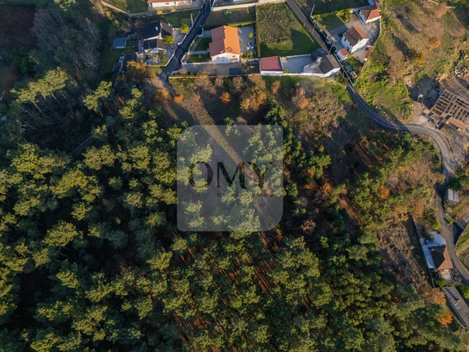 Terreno para Venda em Adoufe e Vilarinho de Samardã Foto 9