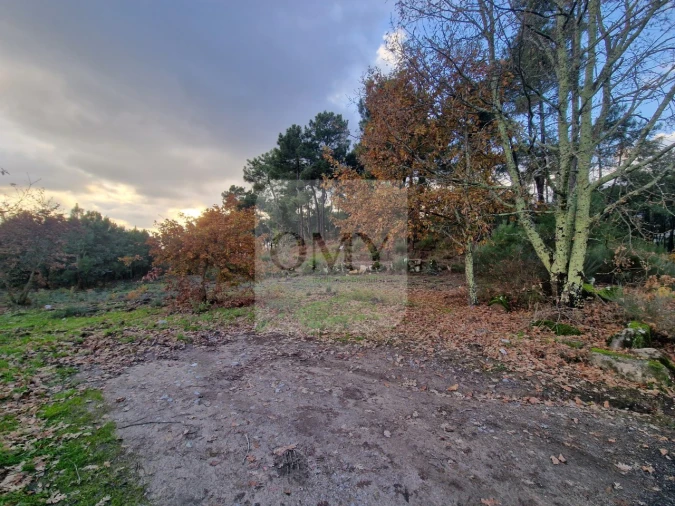 Terreno para Venda em Adoufe e Vilarinho de Samardã Foto 4