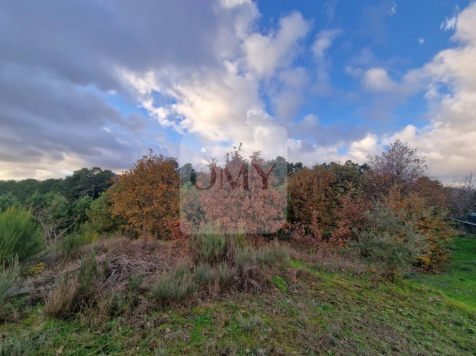 Terreno para Venda em Adoufe e Vilarinho de Samardã Foto 11