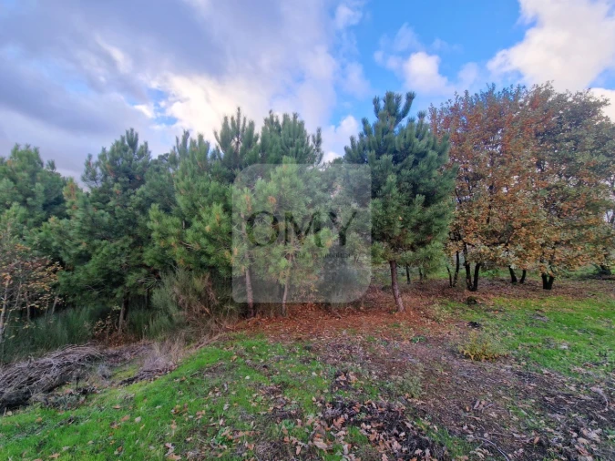 Terreno para Venda em Adoufe e Vilarinho de Samardã Foto 13