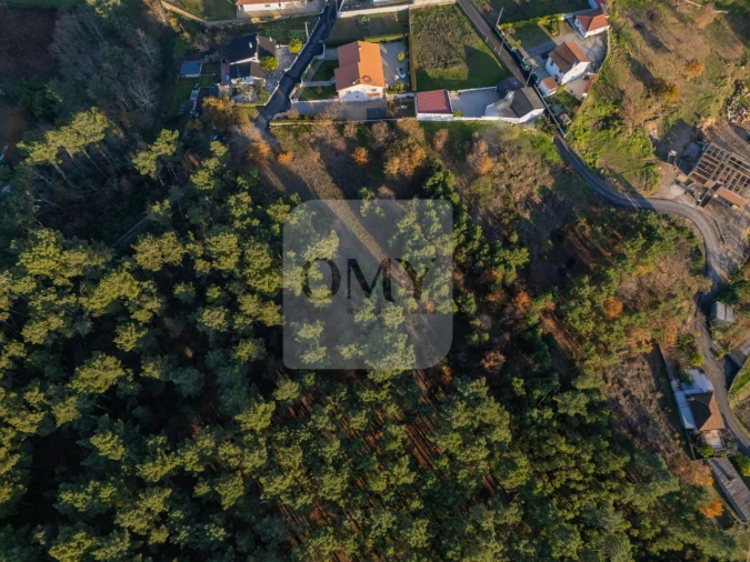 Terreno para Venda em Adoufe e Vilarinho de Samardã Foto 9