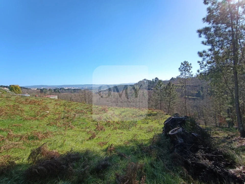 Terreno para Venda em Vila Marim Foto 2