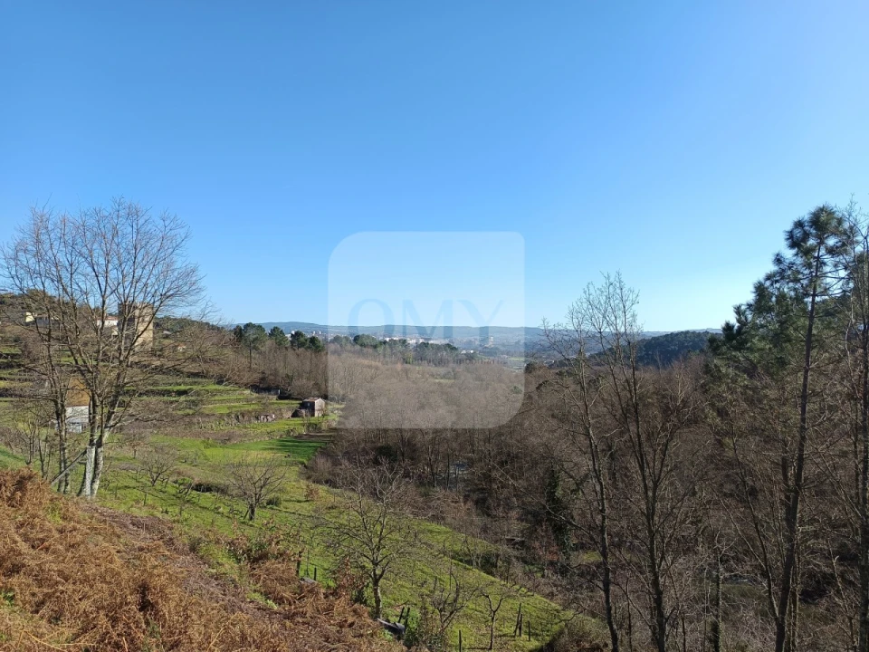 Terreno para Venda em Vila Marim Foto 3