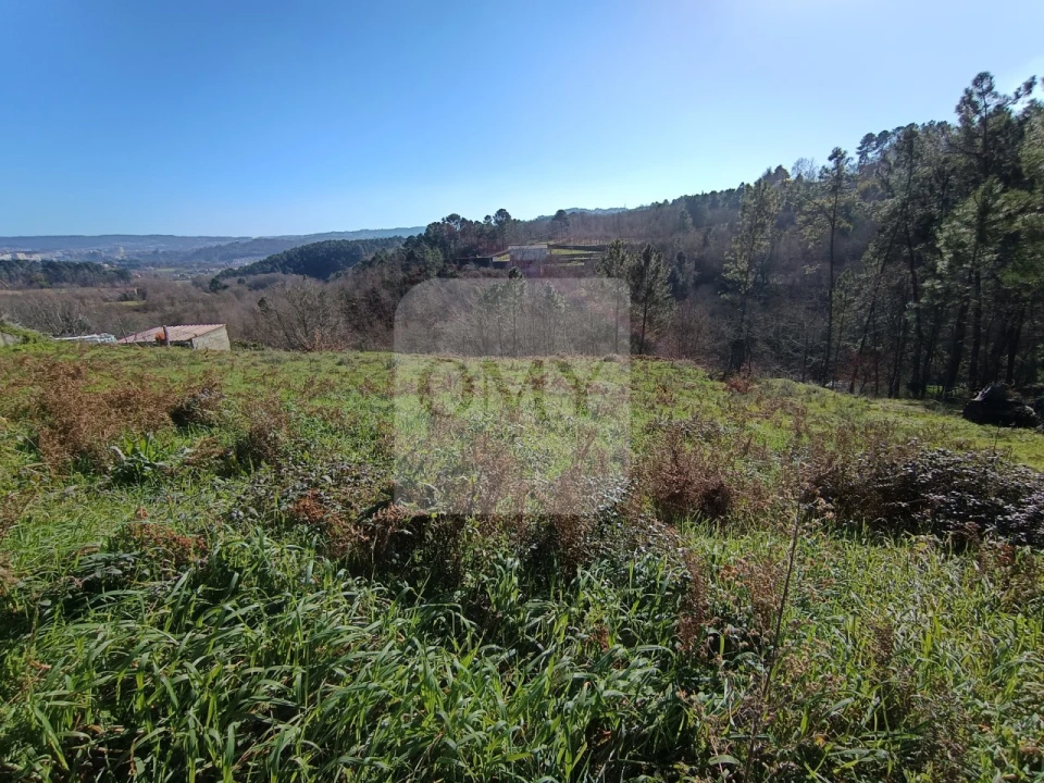 Terreno para Venda em Vila Marim Foto 4