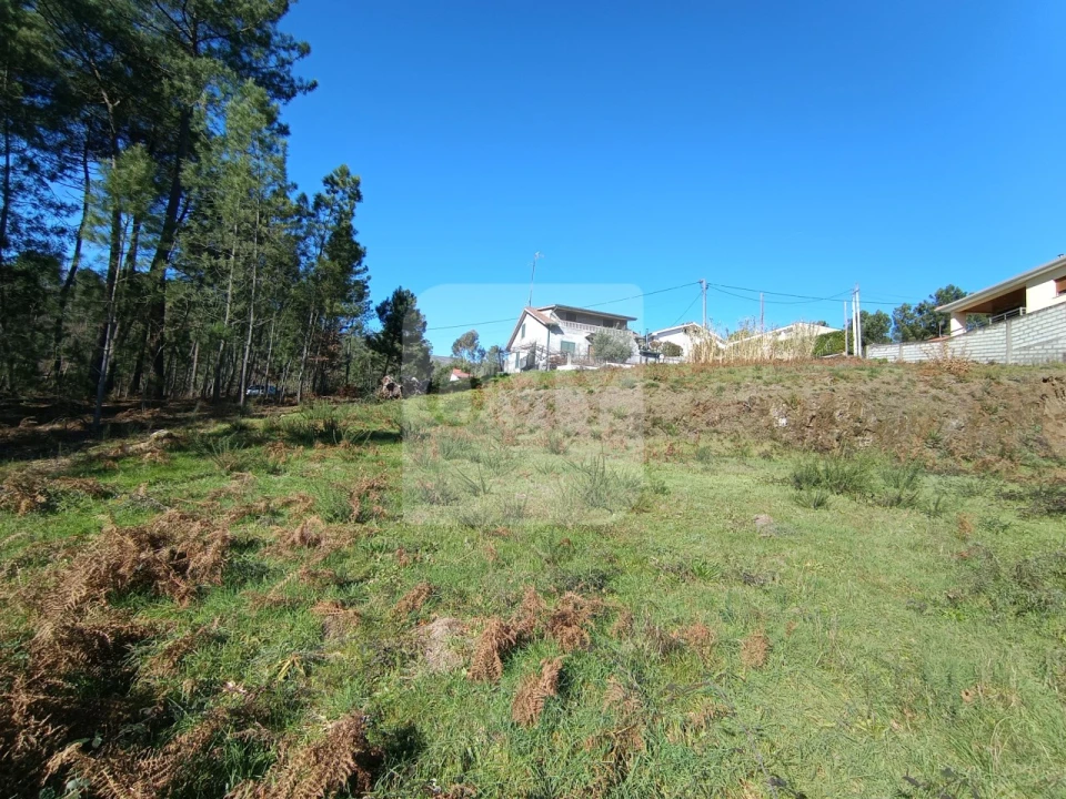Terreno para Venda em Vila Marim Foto 6
