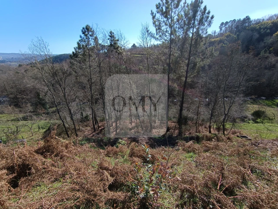 Terreno para Venda em Vila Marim Foto 8