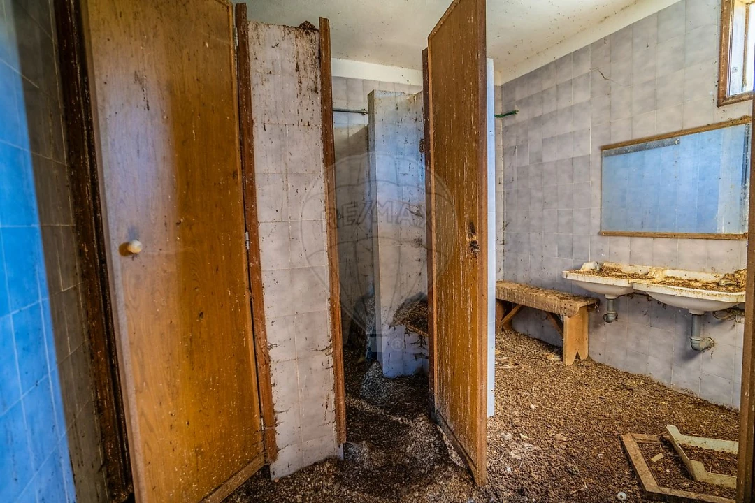 Armazém para Venda em Marmeleira e Assentiz Foto 47