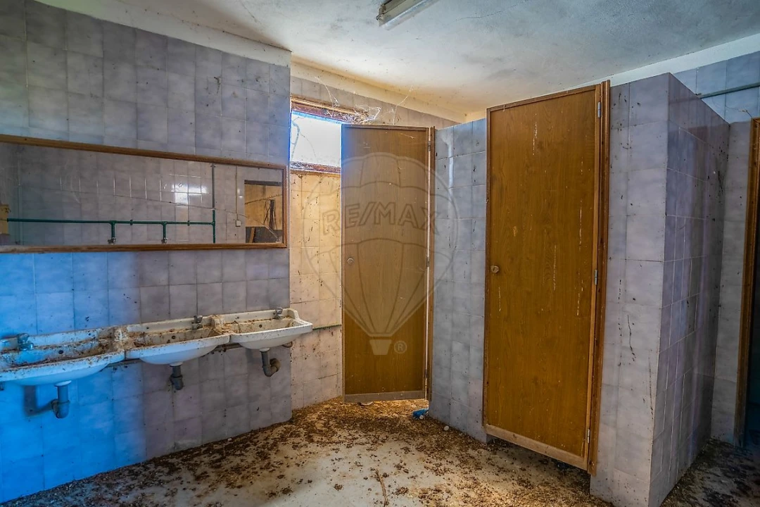 Armazém para Venda em Marmeleira e Assentiz Foto 41