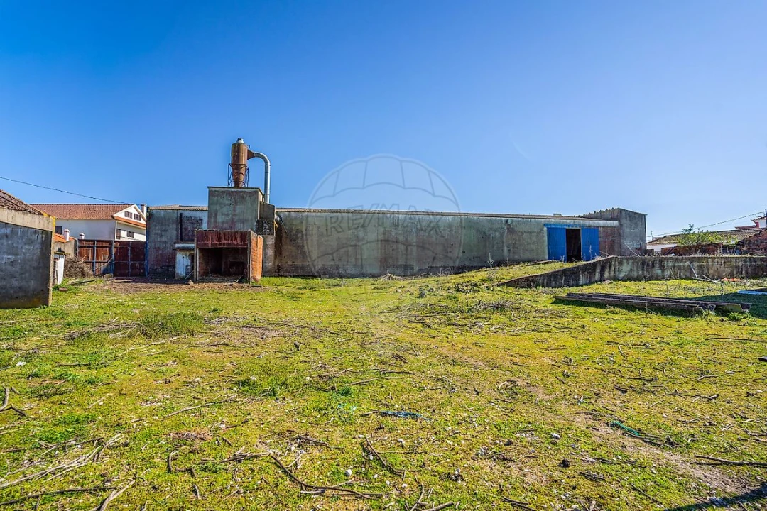Armazém para Venda em Marmeleira e Assentiz Foto 35
