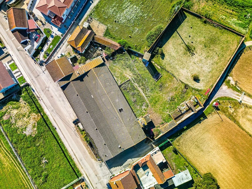 Armazém para Venda em Marmeleira e Assentiz Foto 13