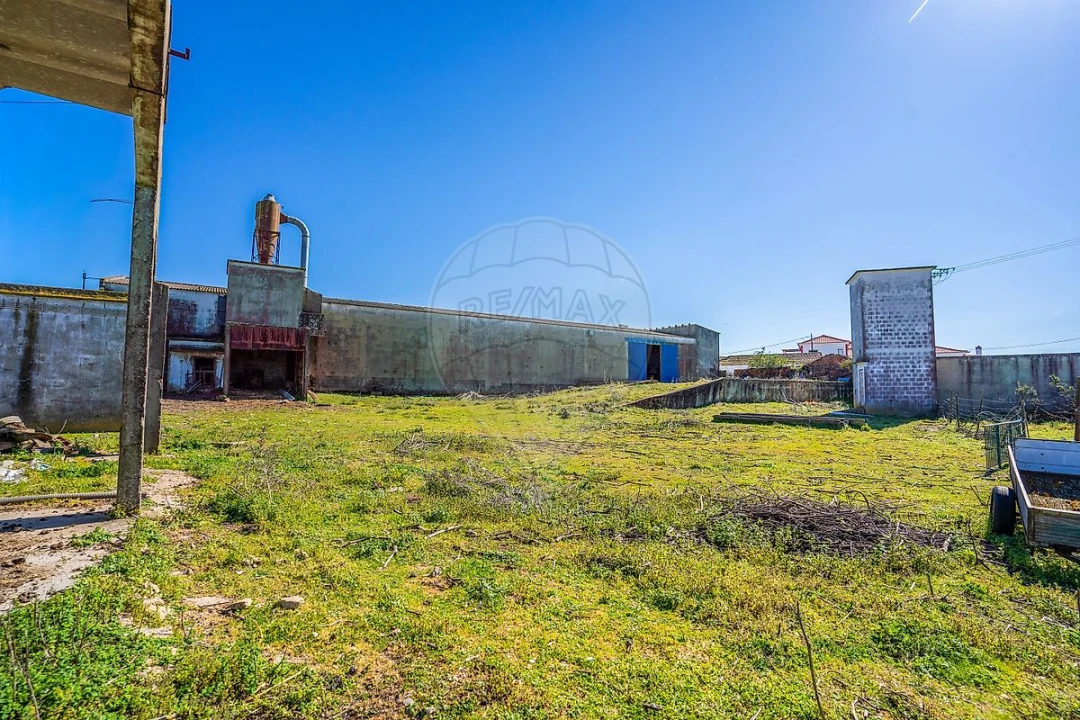 Armazém para Venda em Marmeleira e Assentiz Foto 37