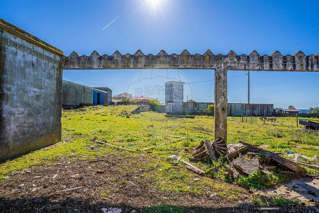 Armazém para Venda em Marmeleira e Assentiz Foto 28