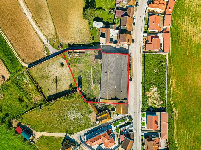 Armazém para Venda em Marmeleira e Assentiz Foto 30