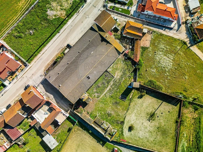 Armazém para Venda em Marmeleira e Assentiz Foto 10