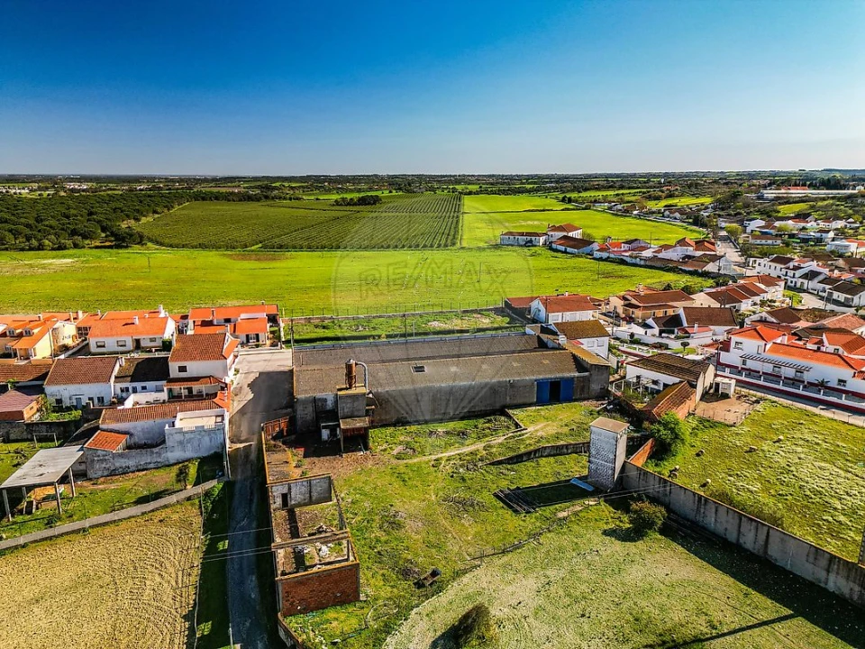 Armazém para Venda em Marmeleira e Assentiz Foto 6