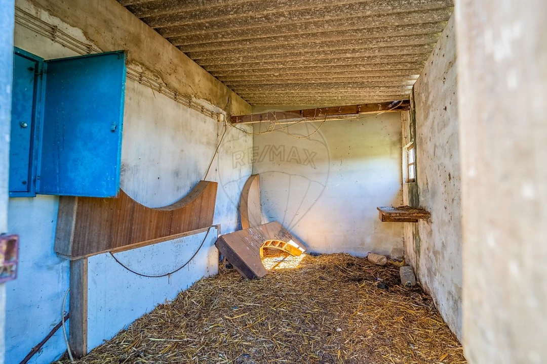 Armazém para Venda em Marmeleira e Assentiz Foto 36