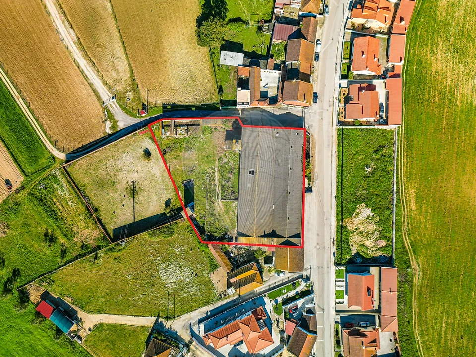 Armazém para Venda em Marmeleira e Assentiz Foto 18