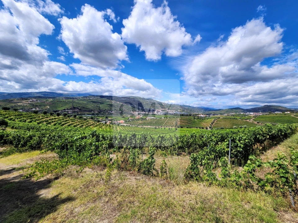 Terreno para Venda em Cambres Foto 5