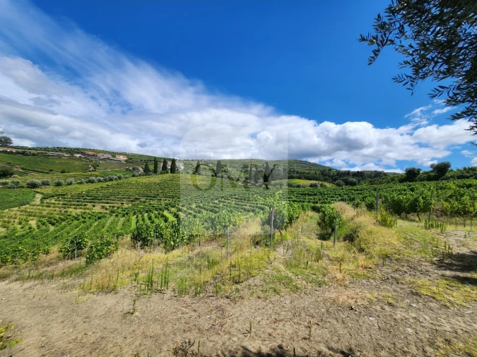 Terreno para Venda em Cambres Foto 11