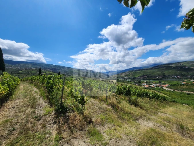 Terreno para Venda em Cambres Foto 12