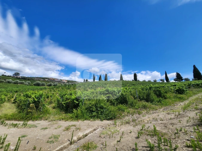 Terreno para Venda em Cambres Foto 13