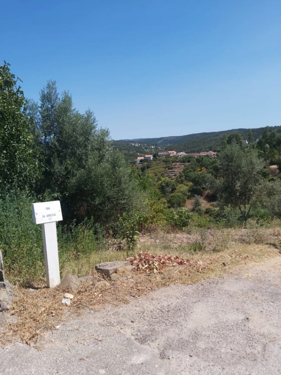 Terreno para Venda em Aldeia do Mato e Souto Foto 3