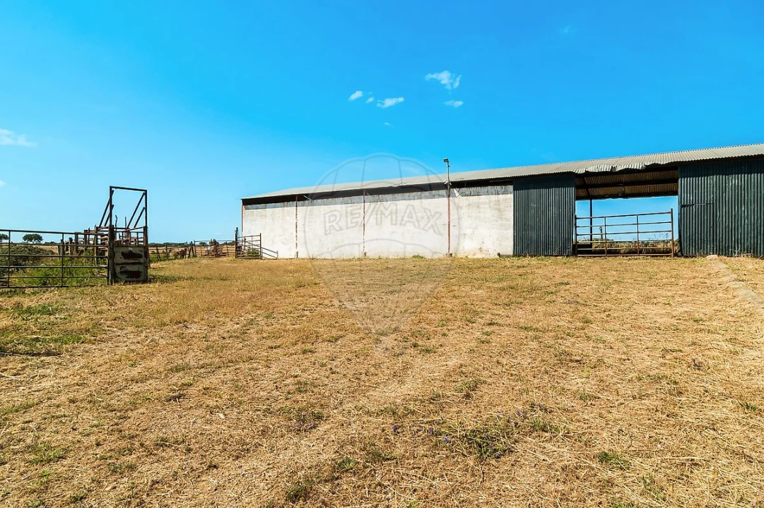 Moradia T4 para Venda em Bacelo e Senhora da Saúde Foto 14