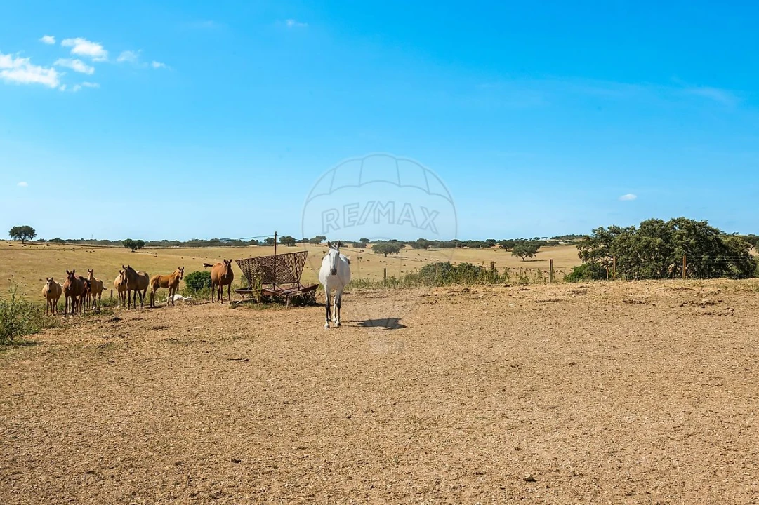 Moradia T4 para Venda em Bacelo e Senhora da Saúde Foto 21