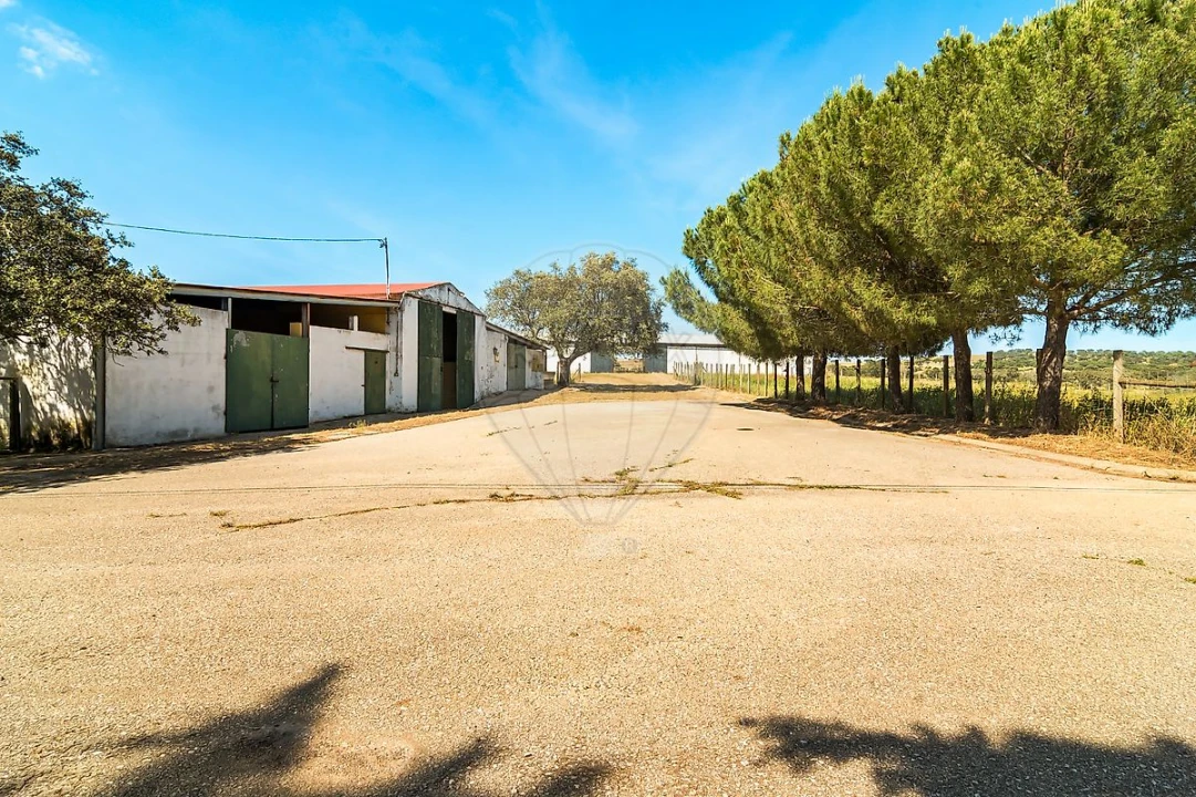 Moradia T4 para Venda em Bacelo e Senhora da Saúde Foto 12