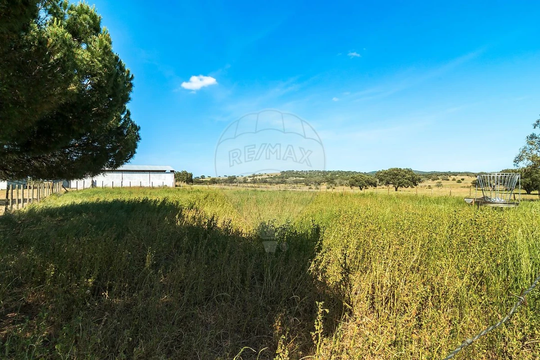 Moradia T4 para Venda em Bacelo e Senhora da Saúde Foto 18