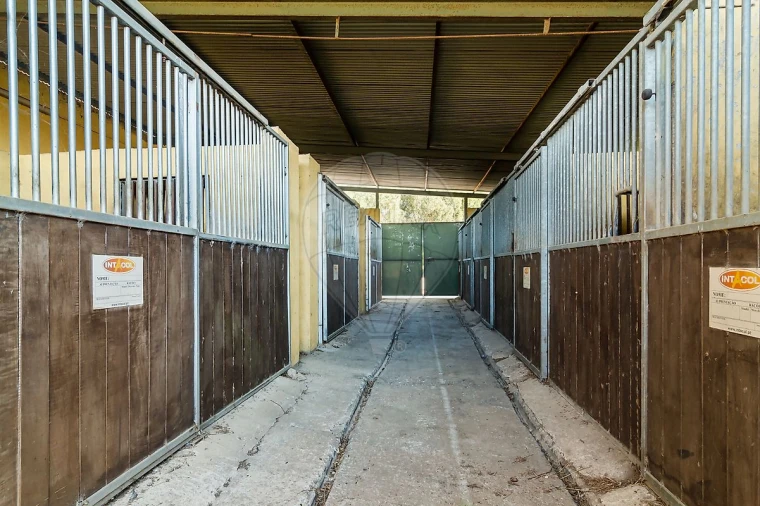 Moradia T4 para Venda em Bacelo e Senhora da Saúde Foto 16