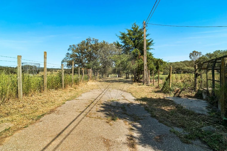 Moradia T4 para Venda em Bacelo e Senhora da Saúde Foto 20