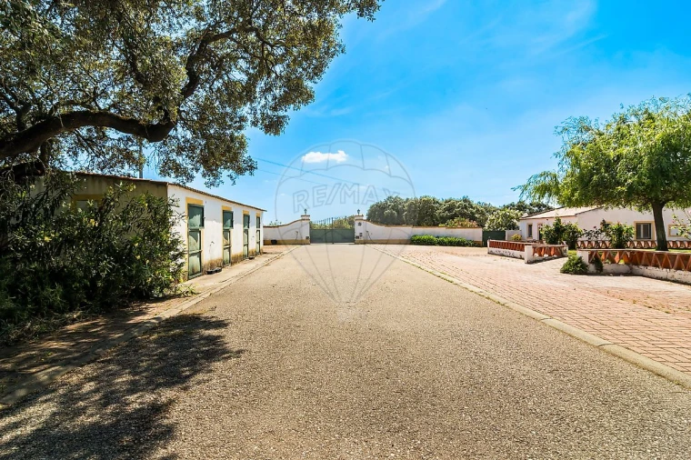 Moradia T4 para Venda em Bacelo e Senhora da Saúde Foto 6