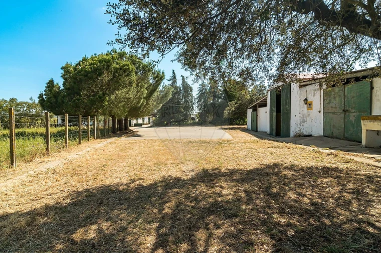 Moradia T4 para Venda em Bacelo e Senhora da Saúde Foto 13