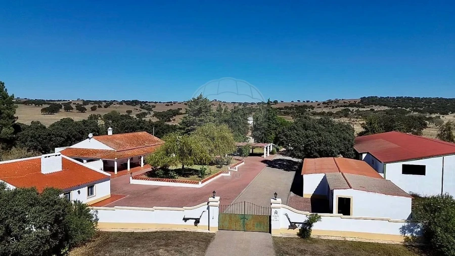 Moradia T4 para Venda em Bacelo e Senhora da Saúde Foto 49