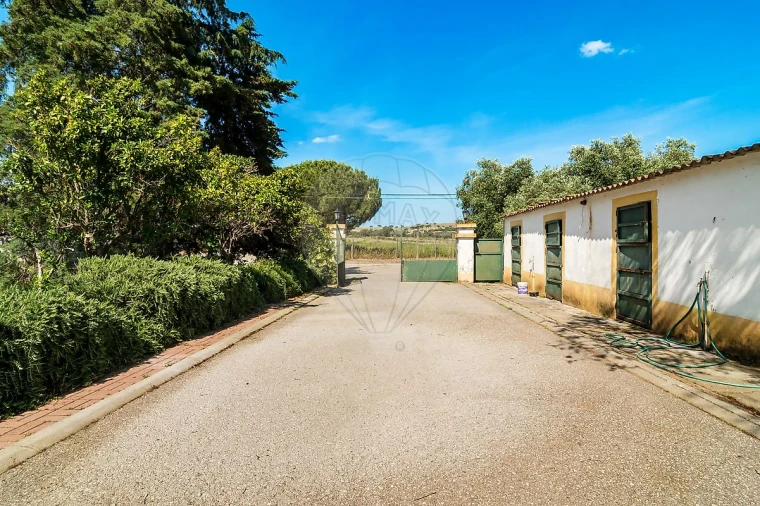 Moradia T4 para Venda em Bacelo e Senhora da Saúde Foto 10