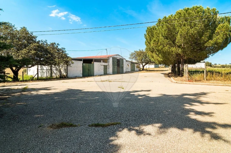 Moradia T4 para Venda em Bacelo e Senhora da Saúde Foto 11